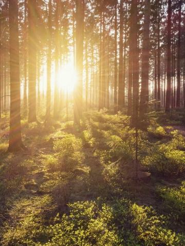 Haut de page Glen Turner