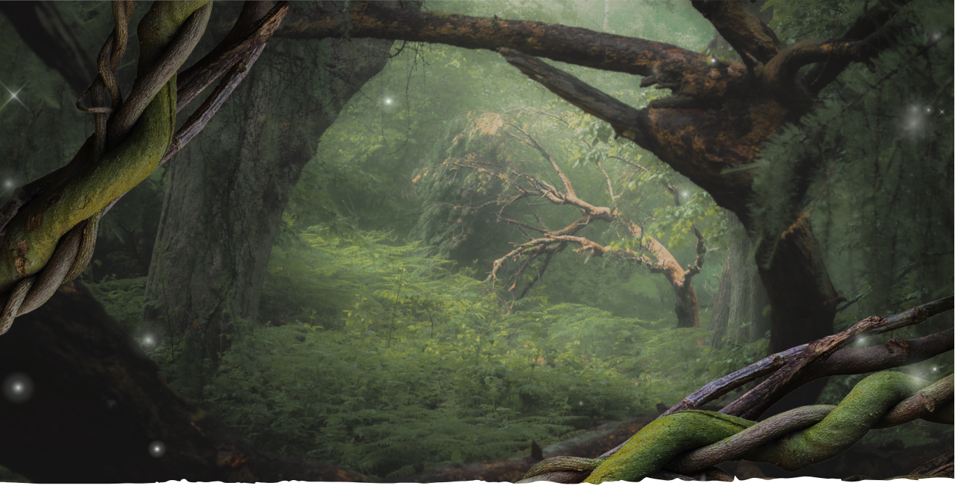 Forêts écossaises Glen Turner