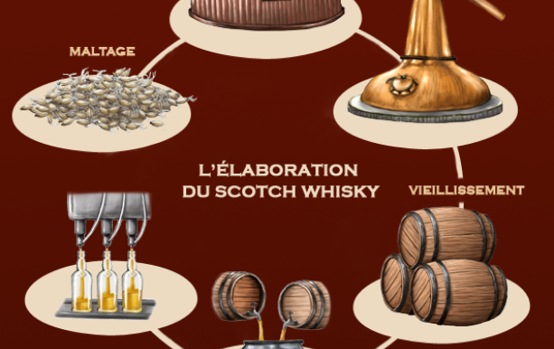 Schema-elaboration-whisky
